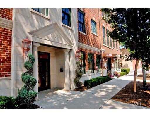 1400 W Webster Ave. #3W, Chicago, IL 60614