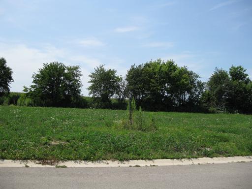 Lot 5 Cassidy Ct., Utica, IL 61373