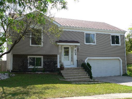 809 N Sheridan Dr., Bartlett, IL 60103