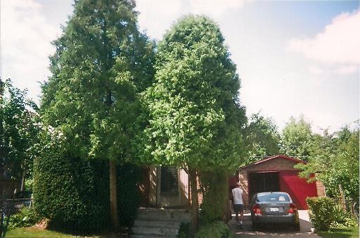 7516 S Hamilton Ave., Chicago, IL 60620