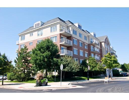 14 S Ashland Ave. #403, La Grange, IL 60525