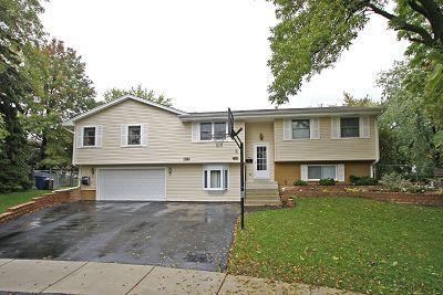 1508 Somerset Ct., Schaumburg, IL 60193