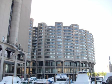 800 S Wells St. #544, Chicago, IL 60607