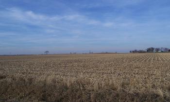 000 Eakle Rd., Harmon, IL 61342