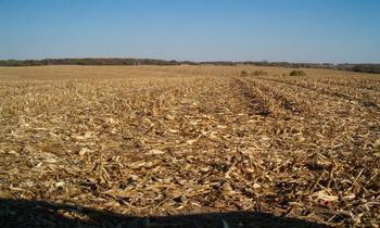 Elmira Rd., Kewanee, IL 61443