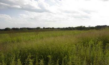 17384 Crosby Rd., Morrison, IL 61270