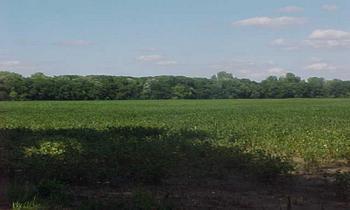 Rock Island Rd., Nelson, IL 61058