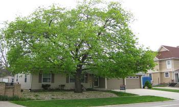 106 E South, Morrison, IL 61270