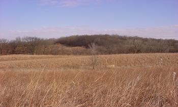 Crosby Rd., Morrison, IL 61270