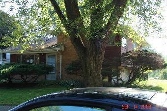 306 Winnebago St., Park Forest, IL 60466