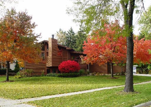 7824 Adams St., Darien, IL 60561