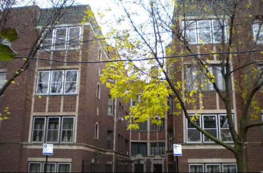 815 E 53rd St. #2, Chicago, IL 60615