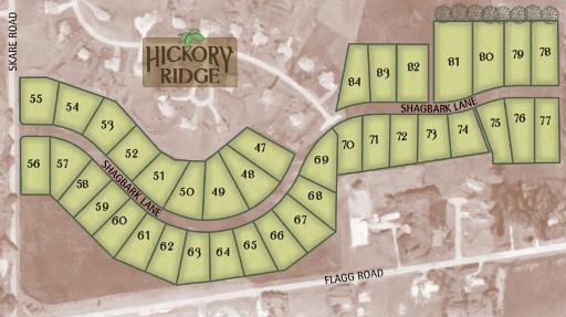Lot 50 Shagbark Ln., Rochelle, IL 61068