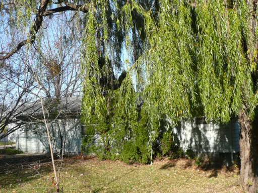 985 Munhall Ave., St. Charles, IL 60174