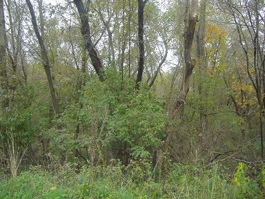 1-687 Timberlane Dr., Putnam, IL 61560