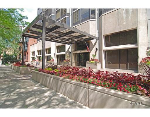 50 E Bellevue St. #1102, Chicago, IL 60611