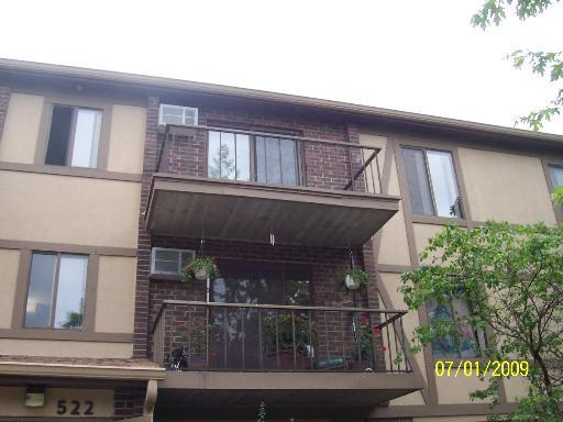 522 Kiowa Cir. #204, Naperville, IL 60565