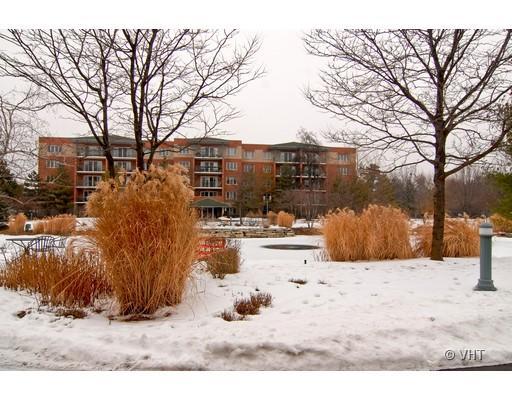 3900 W Bryn Mawr Ave. #404, Chicago, IL 60659