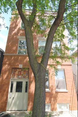 925 S Aberdeen St. #2, Chicago, IL 60607