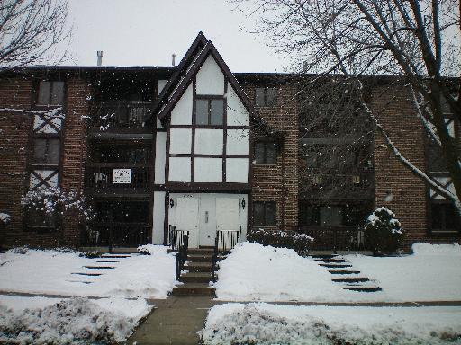 10251 S Major Ave. #207, Oak Lawn, IL 60453
