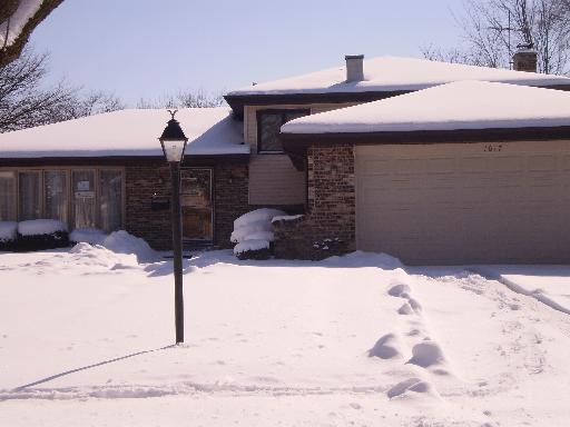 1617 Holly Ave., Darien, IL 60561
