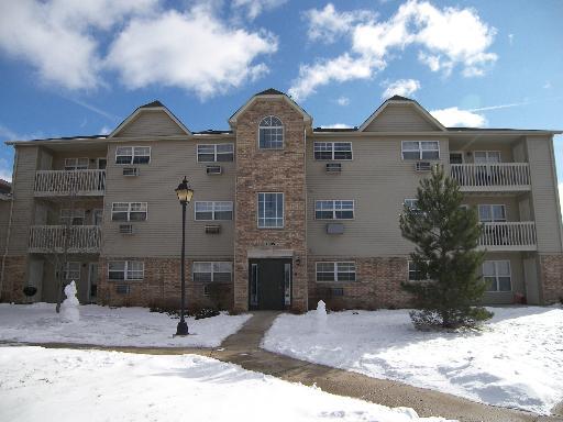 1508 Springbrook Ct. #2A, Round Lake, IL 60073