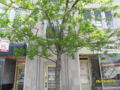 2133 W Howard St. #2, Chicago, IL 60645