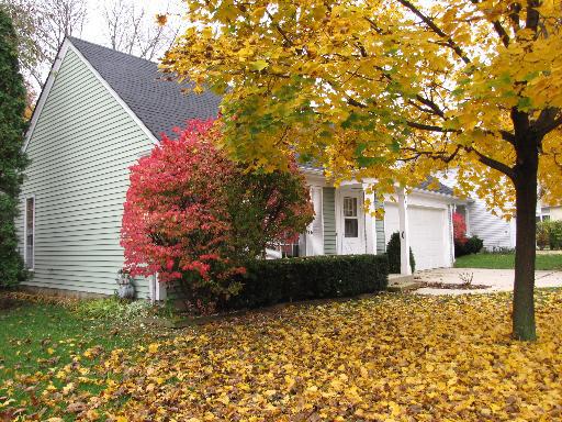 6619 Fernwood Dr., Lisle, IL 60532