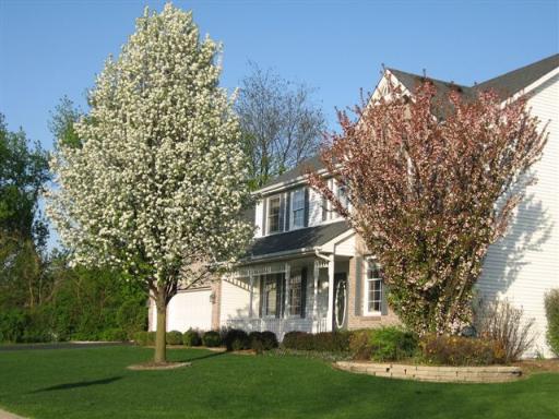 5271 Solitude Dr., Rockford, IL 61114