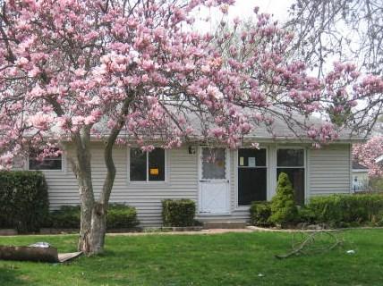 459 Tulsa Ave., Carpentersville, IL 60110