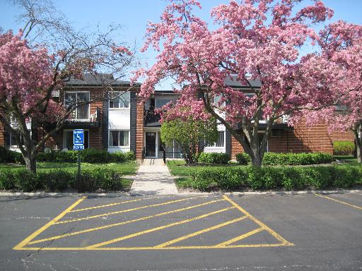 1118 Dale Ave. #1G, Arlington Heights, IL 60004