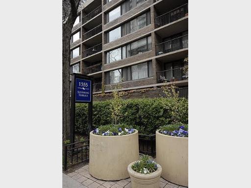 1555 N Sandburg #314, Chicago, IL 60610