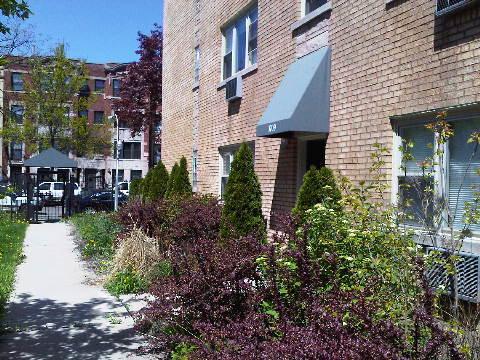1709 W Estes St. #1S, Chicago, IL 60626