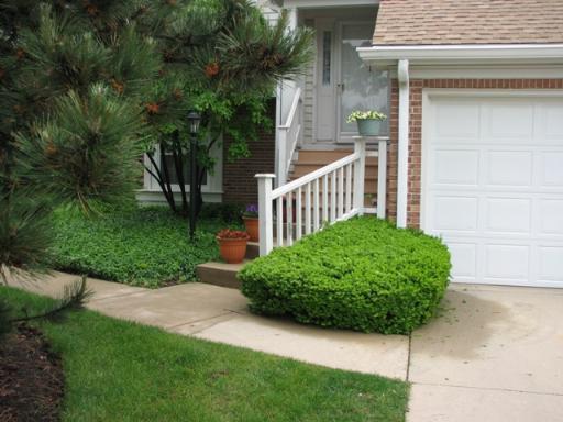 533 Parkview Ter., Buffalo Grove, IL 60089