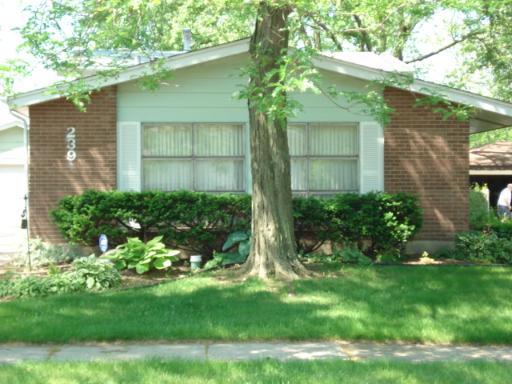 239 Early St., Park Forest, IL 60466