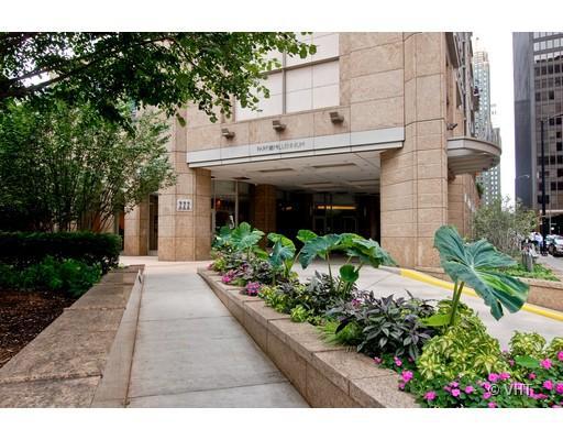 222 N Columbus Dr. #308, Chicago, IL 60611