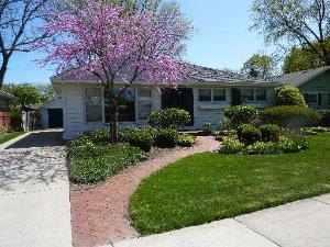 503 N Russel St., Mount Prospect, IL 60056