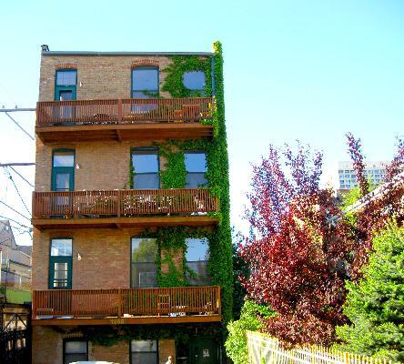 1546 W Cortez St. #4, Chicago, IL 60622