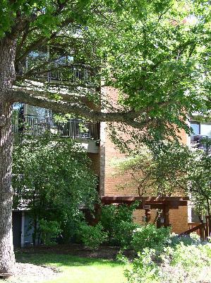 6000 E Oakwood Dr. #4H, Lisle, IL 60532