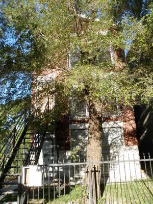 1506 S Spaulding Ave. #1, Chicago, IL 60623