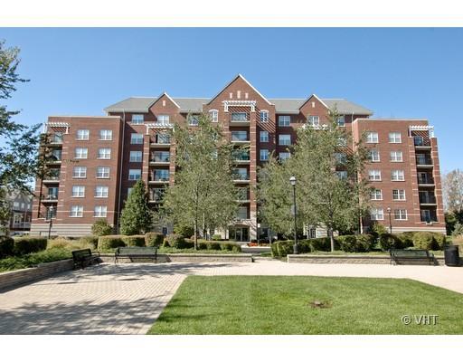 470 Mahogany Ct. #301, Palatine, IL 60067