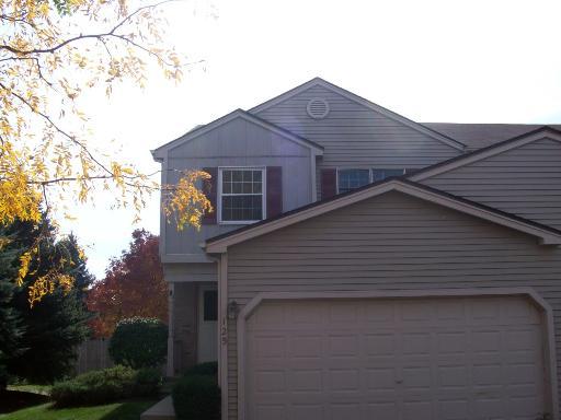 125 W Robinhood Way, Bolingbrook, IL 60440