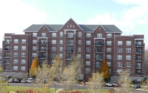 410 W Mahogany Ct. #507, Palatine, IL 60067