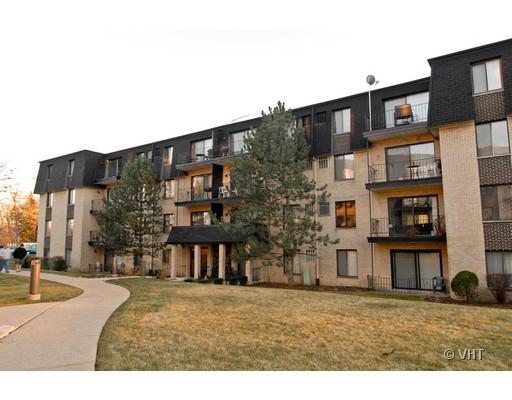 10723 5th Ave Cutoff Ave. #211, Countryside, IL 60525