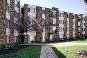 140 W Wood St. #302, Palatine, IL 60067