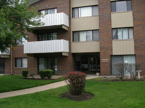 1000 Bayside Dr. #303, Palatine, IL 60074