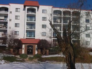 375 Plum Creek Dr. #207, Wheeling, IL 60090