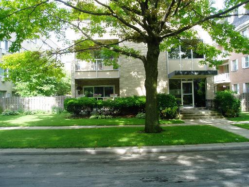 425 Wesley Ave. #305, Oak Park, IL 60302