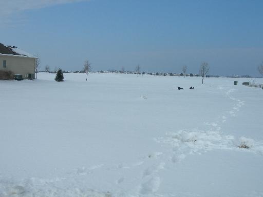 Lot 89 Bush Blvd., Bolingbrook, IL 60490