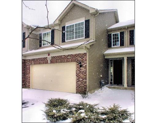 3433 Helene Reider Dr., Montgomery, IL 60538